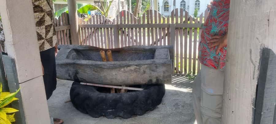 Nadi: Garden Village Hot Spring & Temple Highlights Tour - Sabeto Hot Springs provides the grand finale