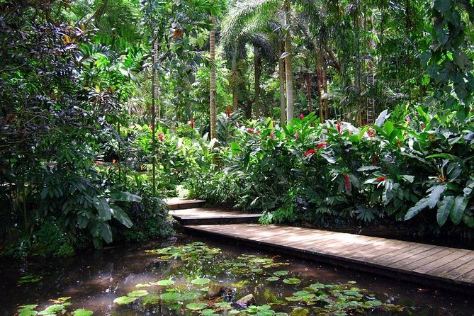 Nadi Sightseeing Including Viseisei Lookout, Village Tour, Garden & Temple Tour - Viseisei Village and the story of first settlement