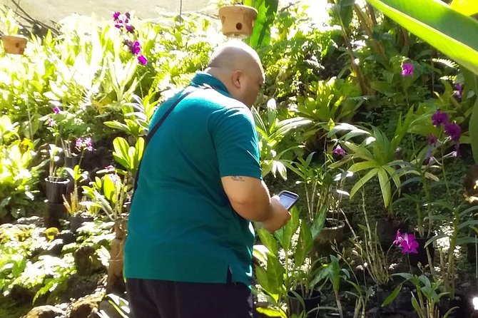 Nadi Sightseeing Including Viseisei Lookout, Village Tour, Garden & Temple Tour - Anchorage Lookout at Vuda Point