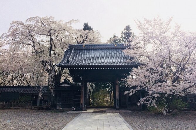 Nagano Spring: 1-Day Cherry Blossoms & Snow Monkeys Guided Tour - Meeting at Nagano Station at 9:35 a.m.