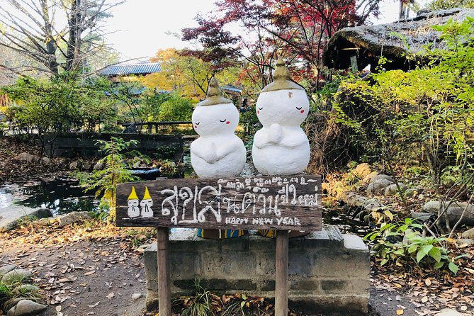 Nami+Alpaca+Garden of Morning Calm (+Rail Bike Option) - Why this Seoul day trip works