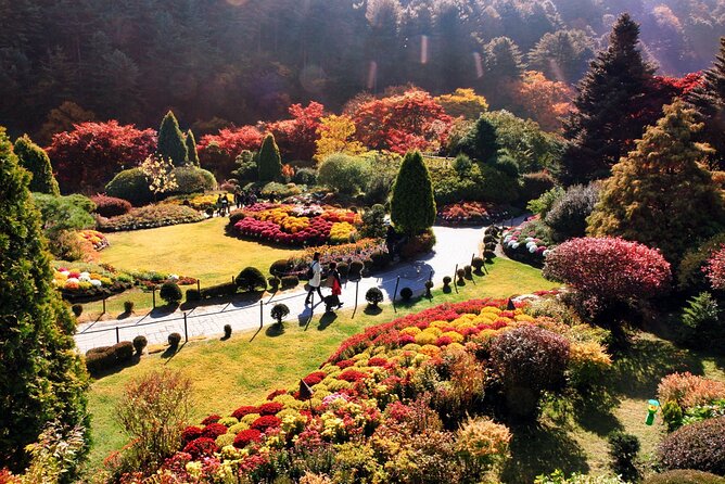 Nami Island & Garden of Morning Calm & Gangchon Railbike Tour - Value at $75.73 per person
