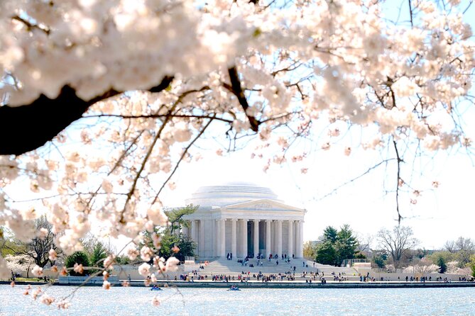 National Mall & Cherry Blossoms Tour with Optional Museum Tickets - The Tidal Basin during cherry blossom season