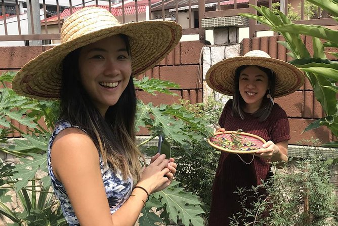 New Malaysian Kitchen Cooking Class and Garden Tour - From Kuala Lumpur to a family kitchen