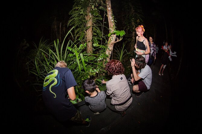 Night Walk in Cairns Botanic Gardens - Let's Go Buggin - Photography help, and where expectations matter