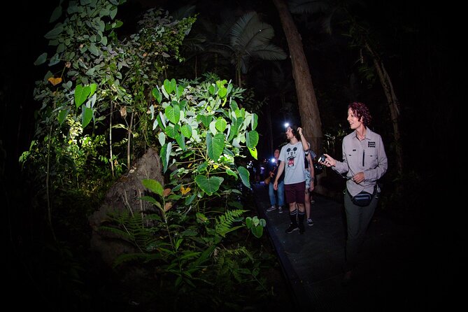 Night Walk in Cairns Botanic Gardens - Let's Go Buggin - The value of a $57.38 small-group experience