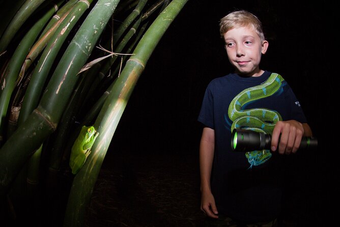 Night Walk in Cairns Botanic Gardens - Let's Go Buggin - Who should book this experience