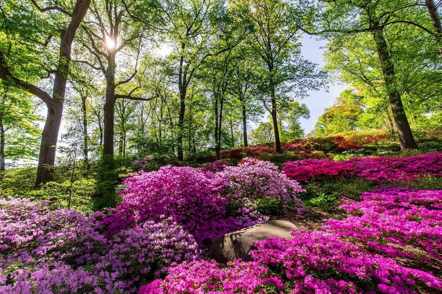 NYC: New York Botanical Garden Pass - Food, costs, and the real value of the $35 pass