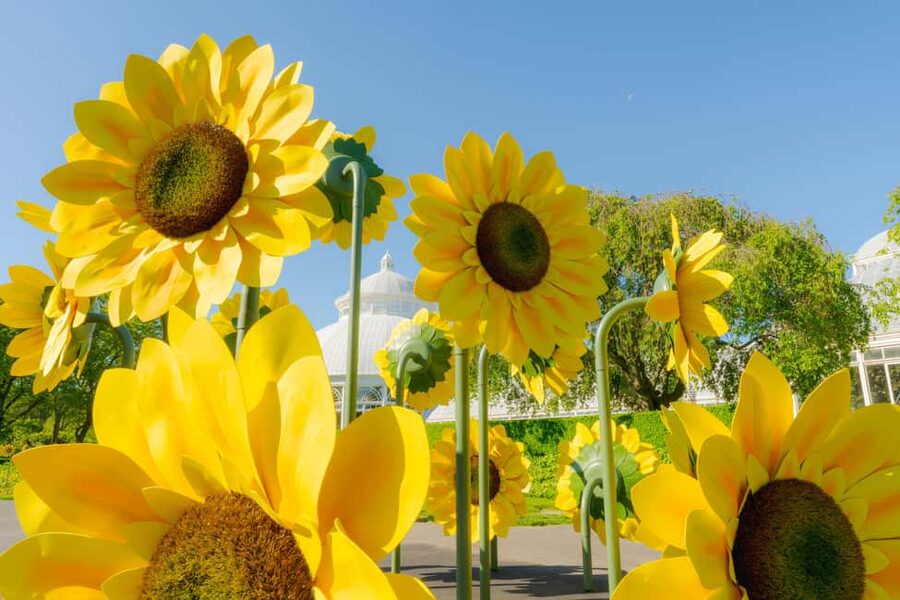 NYC: New York Botanical Garden Pass - Start at the Leon Levy Visitor Center
