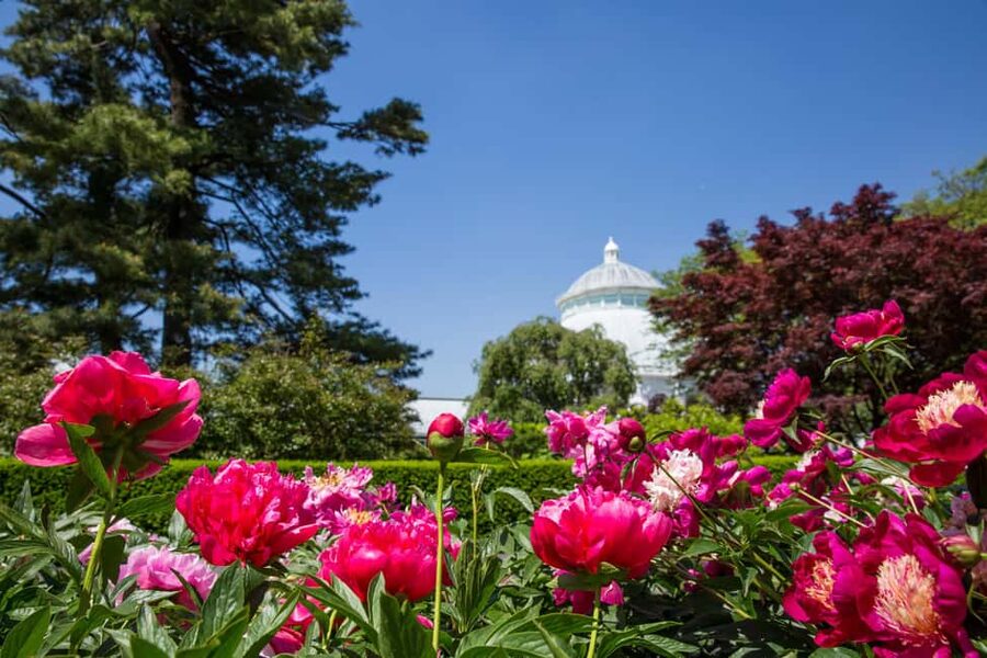NYC: New York Botanical Garden Pass - The 50 gardens and collections