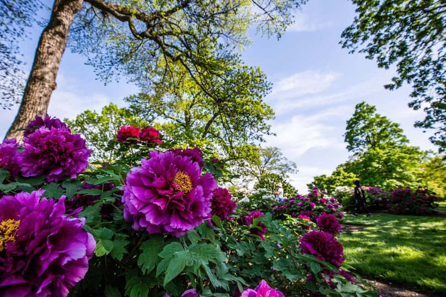 NYC: New York Botanical Garden Pass - The Enid A. Haupt Conservatory