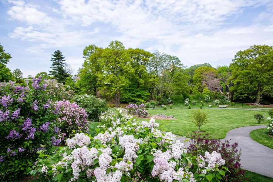 NYC: New York Botanical Garden Pass - Seasonal shows worth planning around