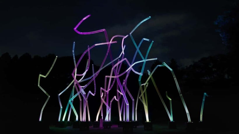 Osaka: teamLab Botanical Garden Entry Ticket - Key points to know before you go