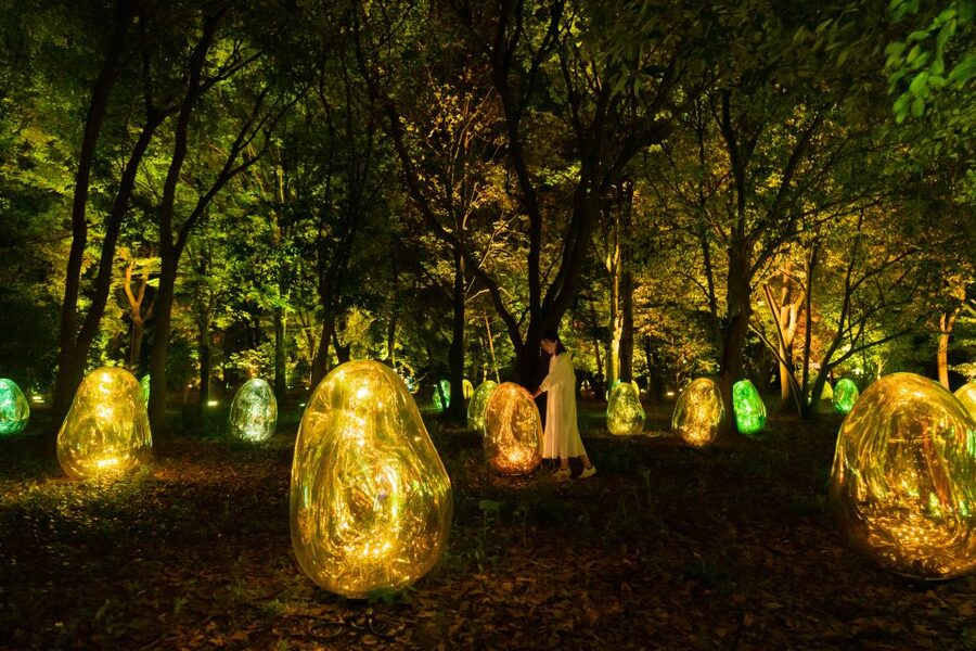Osaka: teamLab Botanical Garden Entry Ticket - Best time to visit