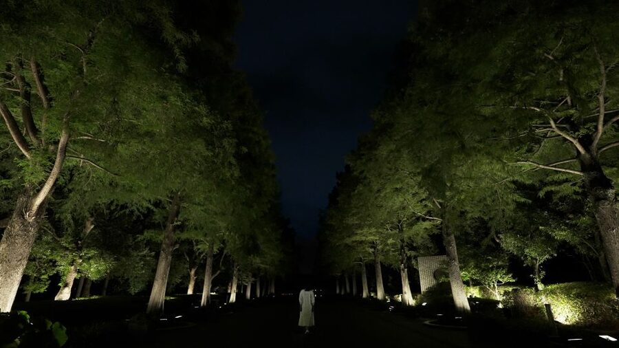 Osaka: teamLab Botanical Garden Entry Ticket - How the installations build from quiet to strange
