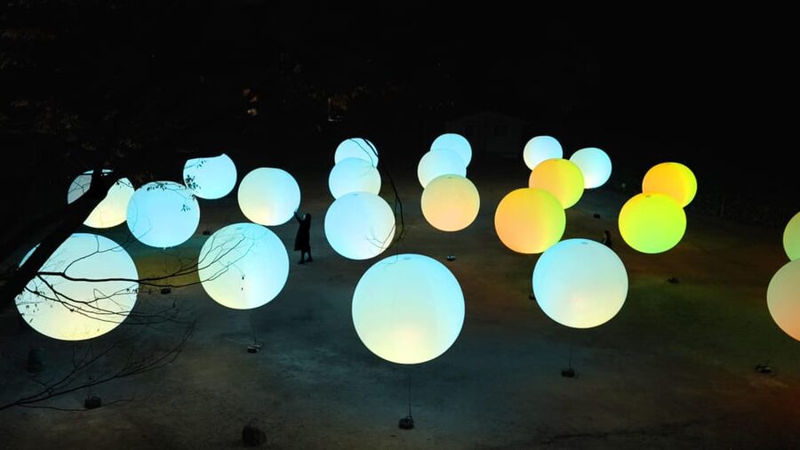 Osaka: teamLab Botanical Garden Entry Ticket - Is $11 good value?