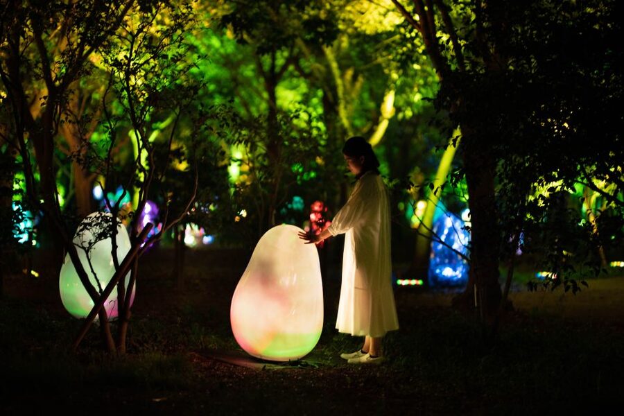 Osaka: teamLab Botanical Garden Entry Ticket - Families, older adults, and accessibility
