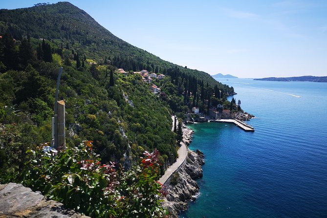 Panorama Dubrovnik & Arboretum Trsteno PRIVATE TOUR - Dr. Franjo Tuđman Bridge: port, bay, and working Dubrovnik