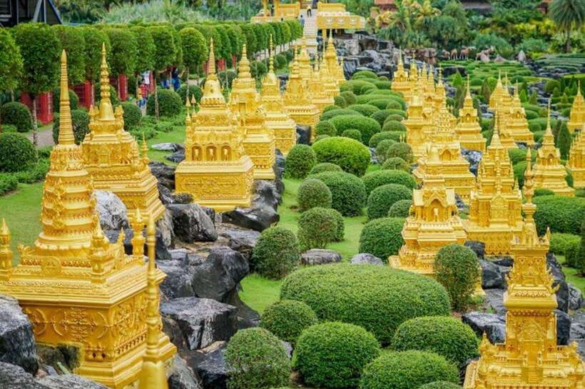 Pattaya: Nong Nooch Tropical Garden Ticket for Foreigners - Why the cycad collection matters