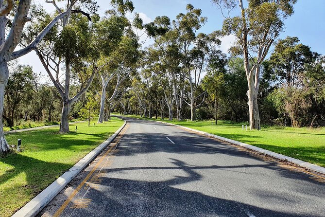 Pedals & Petals - Discovering Wildflowers Bike Tour Kings Park - What you see in the two-hour route