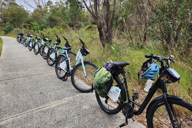 Pedals & Petals - Discovering Wildflowers Bike Tour Kings Park - Small groups and the feel of the ride