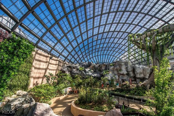 Penang Round Island Tour With Tropical Spice Garden & Entopia Butterfly Farm - Is $91 good value for five hours?