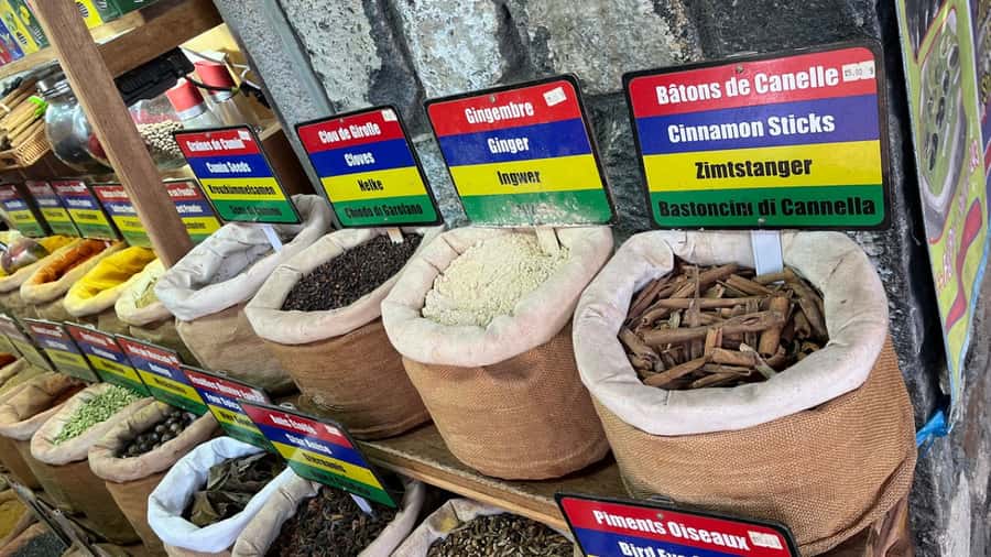 Port Louis Market, Botanical Garden -Northern Mauritius Tour - Key points to know before booking