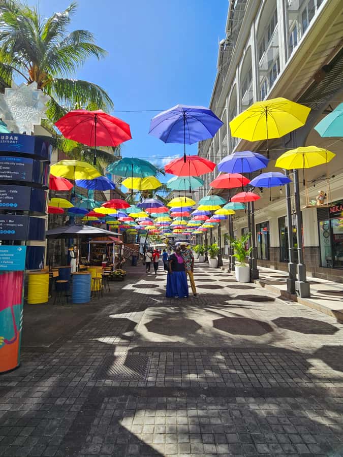 Port Louis: Mont Choisy, Botanical Garden, and Church Tour - Why this north Mauritius tour works well