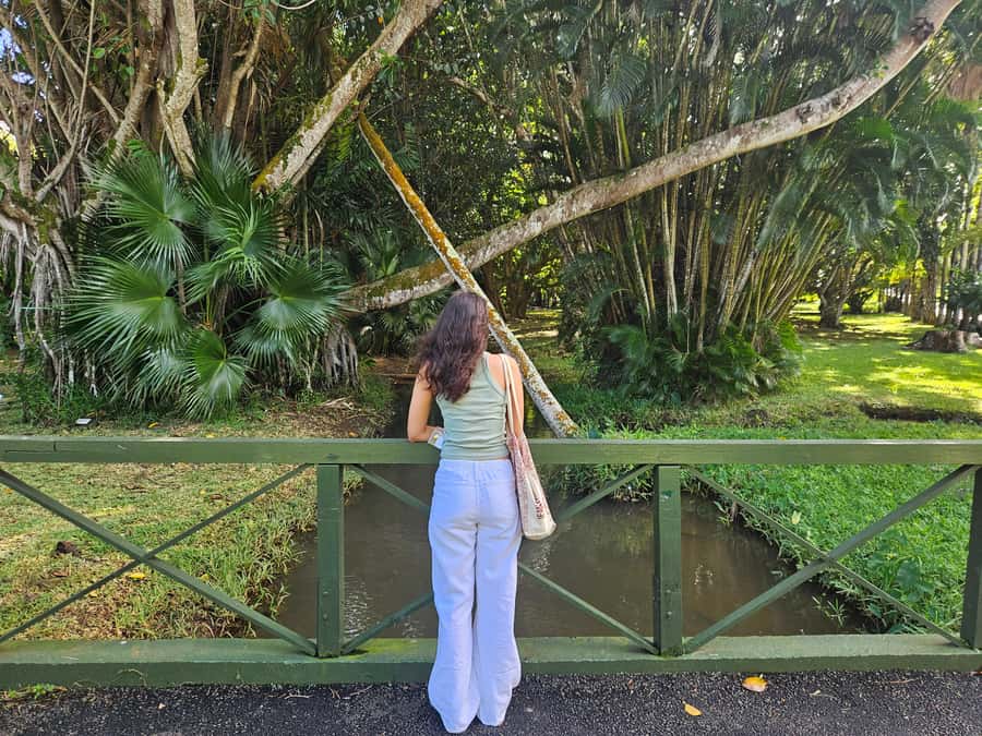 Port Louis: Mont Choisy, Botanical Garden, and Church Tour - Mont Choisy or Trou aux Biches for a swim