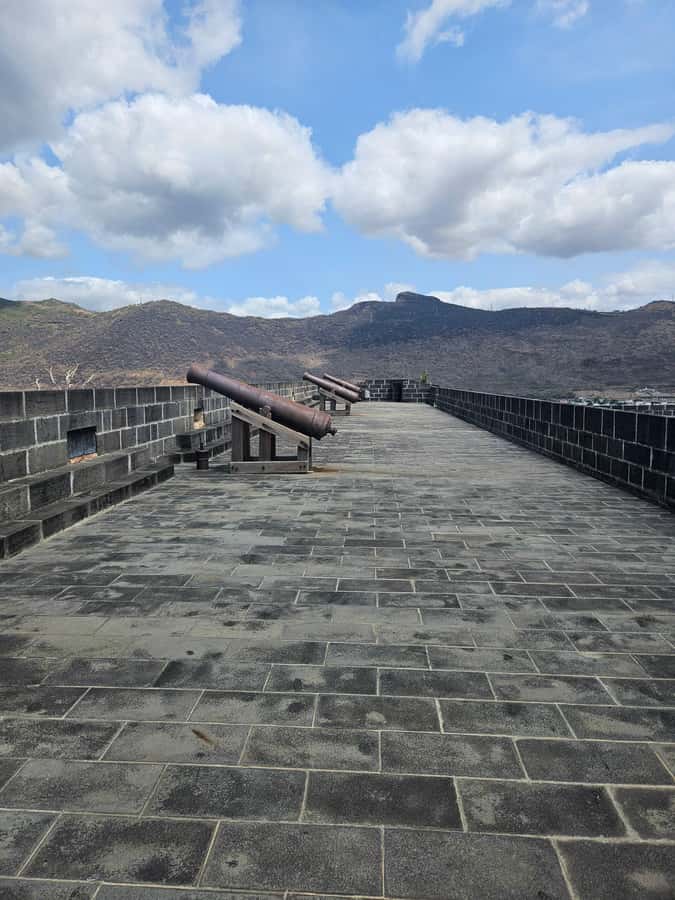 Port Louis: Mont Choisy, Botanical Garden, and Church Tour - What the guide adds to the day