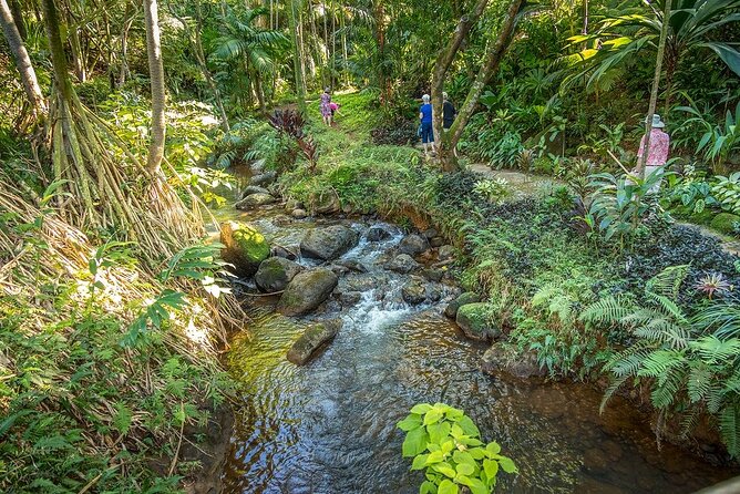 Princeville Botanical Gardens Tour and Chocolate Tasting Ticket - A garden walk with chocolate at its center