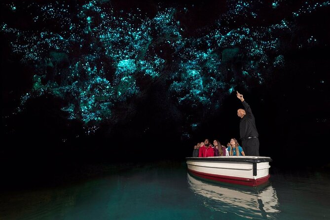 Private 2 Day Tour: Hobbiton, Waitomo, Rotorua Geothermal & Hamilton Gardens - What the private vehicle changes
