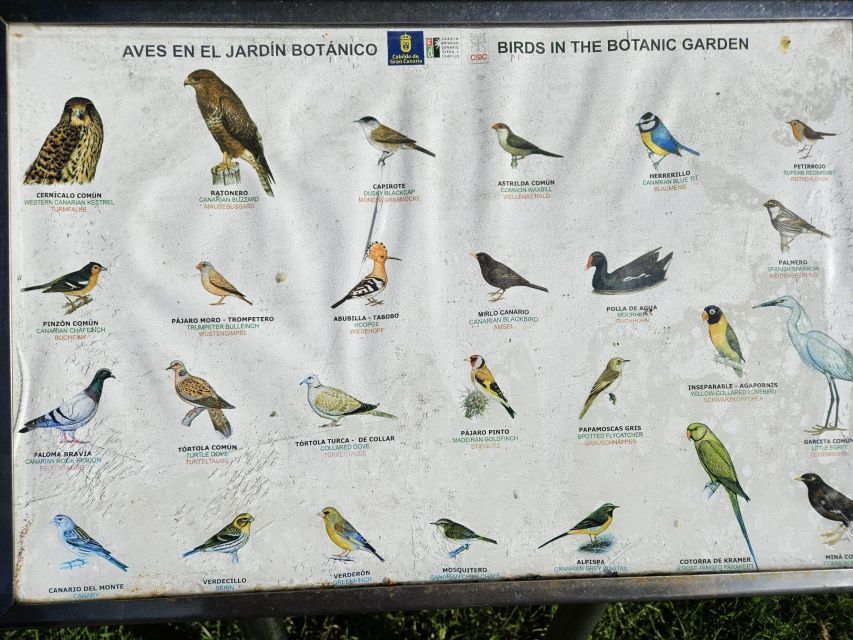 Private Bandama Caldera Volcano, Botanic Garden & Old Town - The Canary Garden, from laurel forest to cactus beds