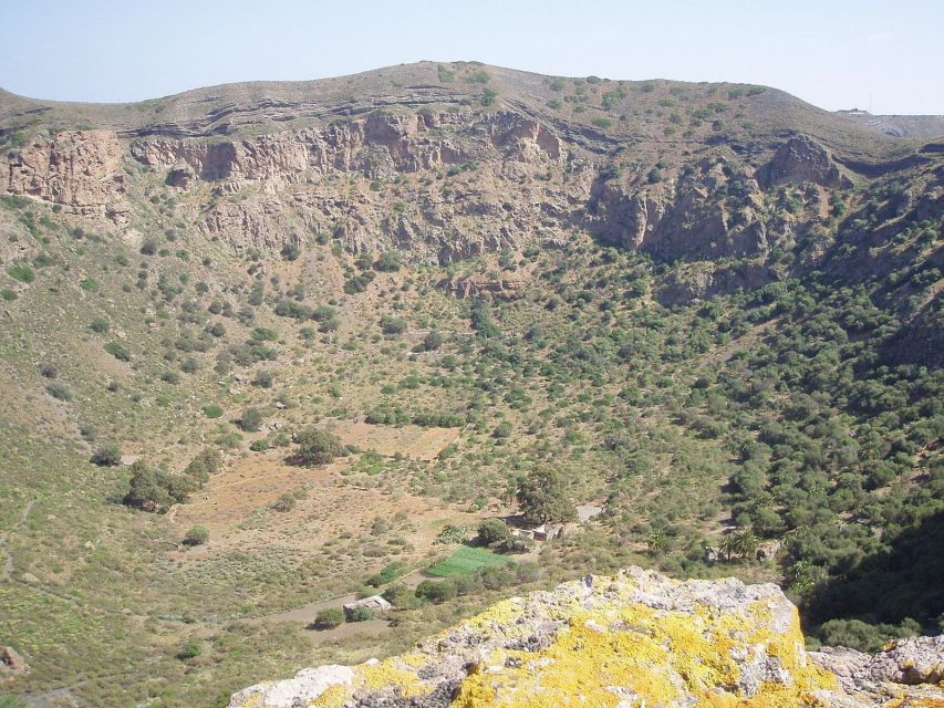 Private Bandama Caldera Volcano, Botanic Garden & Old Town - The optional Canary wine tasting