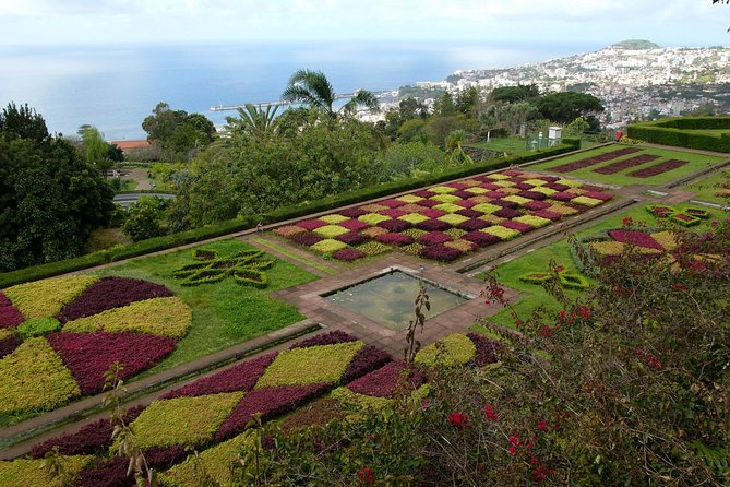 Private Botanical Garden Tour - Why a tuk-tuk makes sense in Funchal