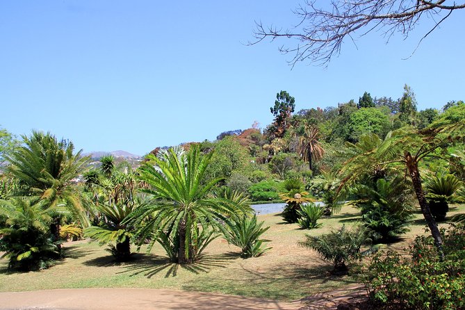 Private Botanical Garden Tour - Starting near Funchal’s central market