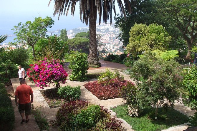 Private Botanical Garden Tour - Reaching Madeira Botanical Garden
