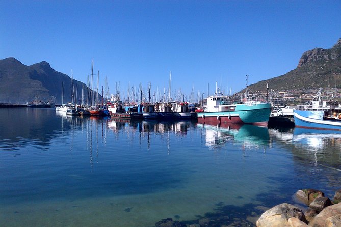 Private Cape Peninsula + Kirstenbosch Garden Full Day Guided Tour - Simon’s Town, then Boulders Beach penguins