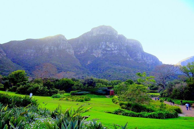 Private Cape Peninsula + Kirstenbosch Garden Full Day Guided Tour - Lunch at Scarborough and the Misty Cliffs road