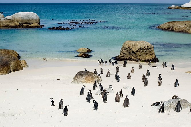 Private Cape Peninsula + Kirstenbosch Garden Full Day Guided Tour - Ou Kaapse Weg and the return toward Kirstenbosch