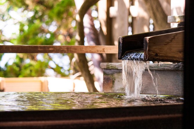 Private Car Day Trip to the Kobe Mountains, Gardens and Hot Springs from Osaka - Who should book this Mount Rokko day trip?