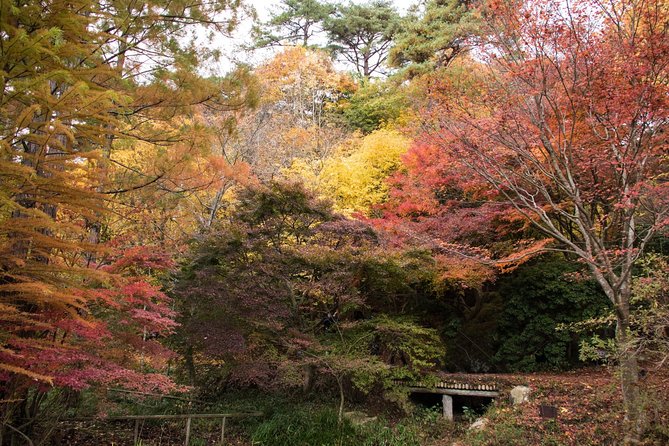 Private Car Day Trip to the Kobe Mountains, Gardens and Hot Springs from Osaka - Should you book it?