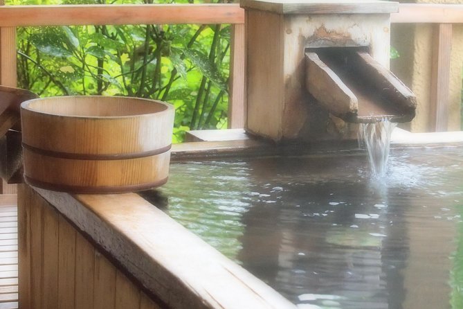 Private Car Day Trip to the Kobe Mountains, Gardens and Hot Springs from Osaka - Understanding the Arima Onsen stop