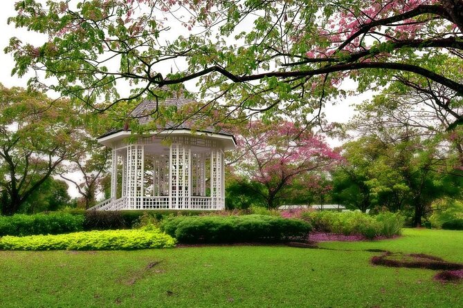 Private Half Day Singapore City Tour with Botanical Orchid Garden - What makes this private morning tour useful
