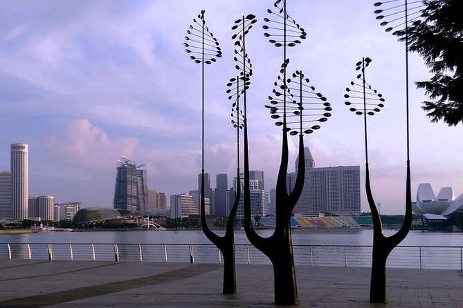 Private Half Day Singapore City Tour with Botanical Orchid Garden - A fast introduction to four sides of Singapore