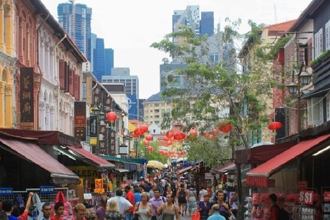 Private Half Day Singapore City Tour with Botanical Orchid Garden - Little India in a short half hour