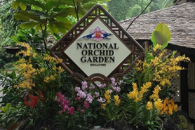 Private Half Day Singapore City Tour with Botanical Orchid Garden - The Colonial District and Parliament