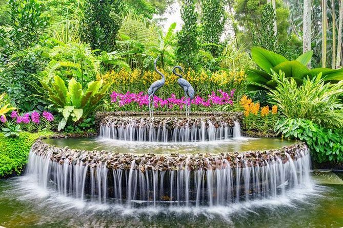 Private Half Day Singapore City Tour with Botanical Orchid Garden - Why the private vehicle changes the morning