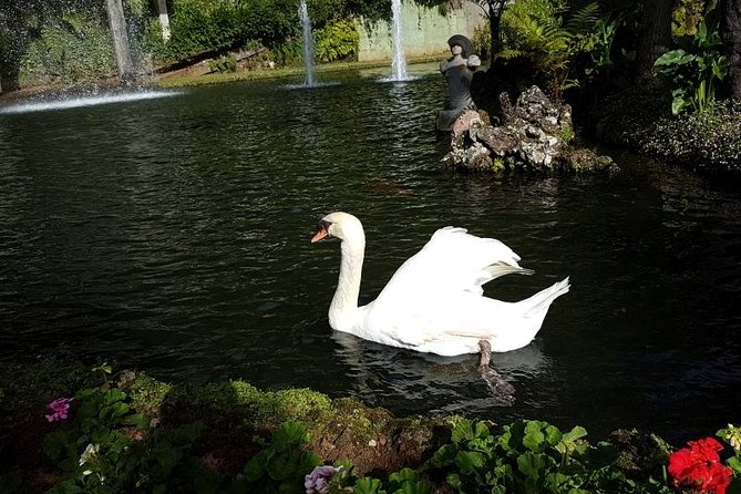 Private Halfday Madeira Garden Tour - Walking, weather, and what to bring