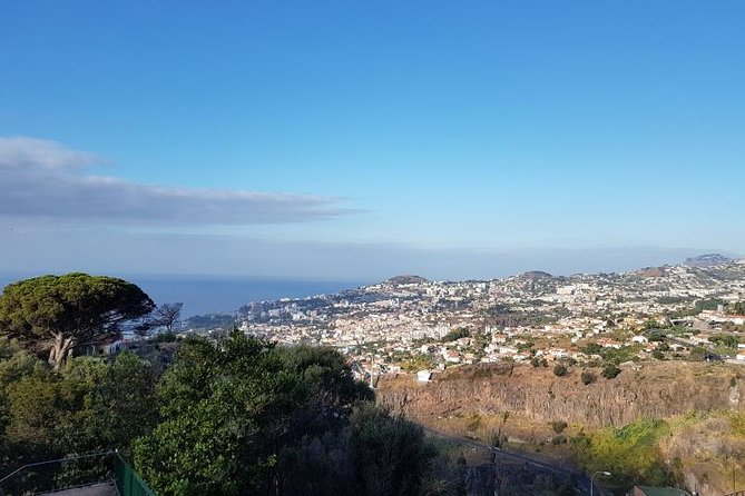 Private Halfday Madeira Garden Tour - Who will enjoy this Madeira garden tour?